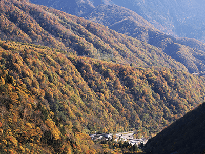 鍋平の景色