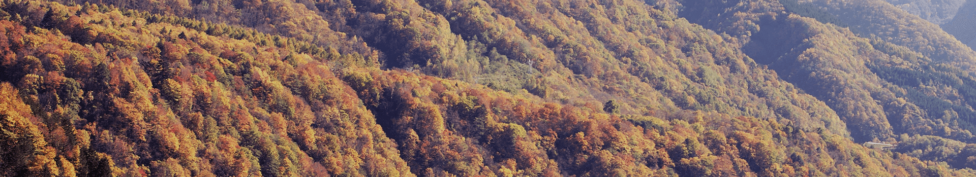 鍋平ページトップ