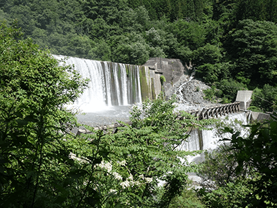 蒲田川の景色