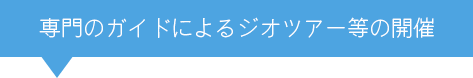 専門のガイドによるジオツアー等の開催