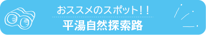 おススメのスポット　平湯自然探索路