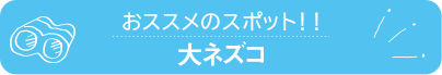 おススメのスポット　大ネズコ