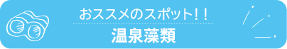 おススメのスポット　温泉藻類