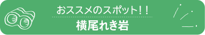 横尾れき岩