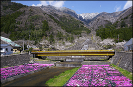 洞谷砂防えん堤群の風景画像