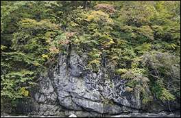 柏当層の岩壁風景画像