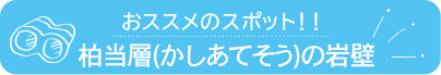 おススメのスポット　柏当層の岩壁