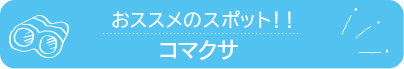 おススメのスポット　コマクサ