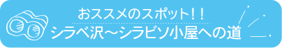 おススメのスポット　シラベ沢～シラビソ小屋への道