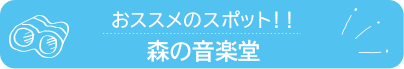 おススメのスポット　森の音楽堂