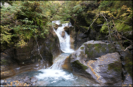 名無しの滝風景画像