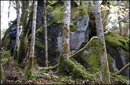 名無しの滝へ向かう途中の巨岩風景画像