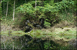 雄池風景画像