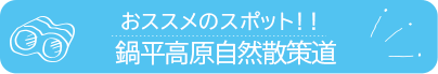 おススメのスポット　鍋平高原自然散策道