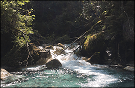 白川風景画像