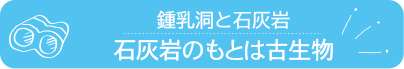 石灰岩のもとは古生物