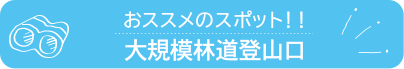 おススメのスポット　大規模林道登山口