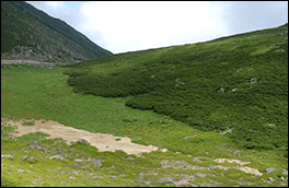 土俵ヶ原の風景画像