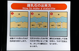鍾乳石の種類