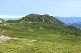 桔梗ヶ原の風景