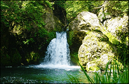 鳴滝の風景