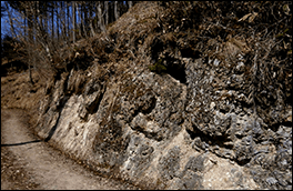 横尾登山口風景画像