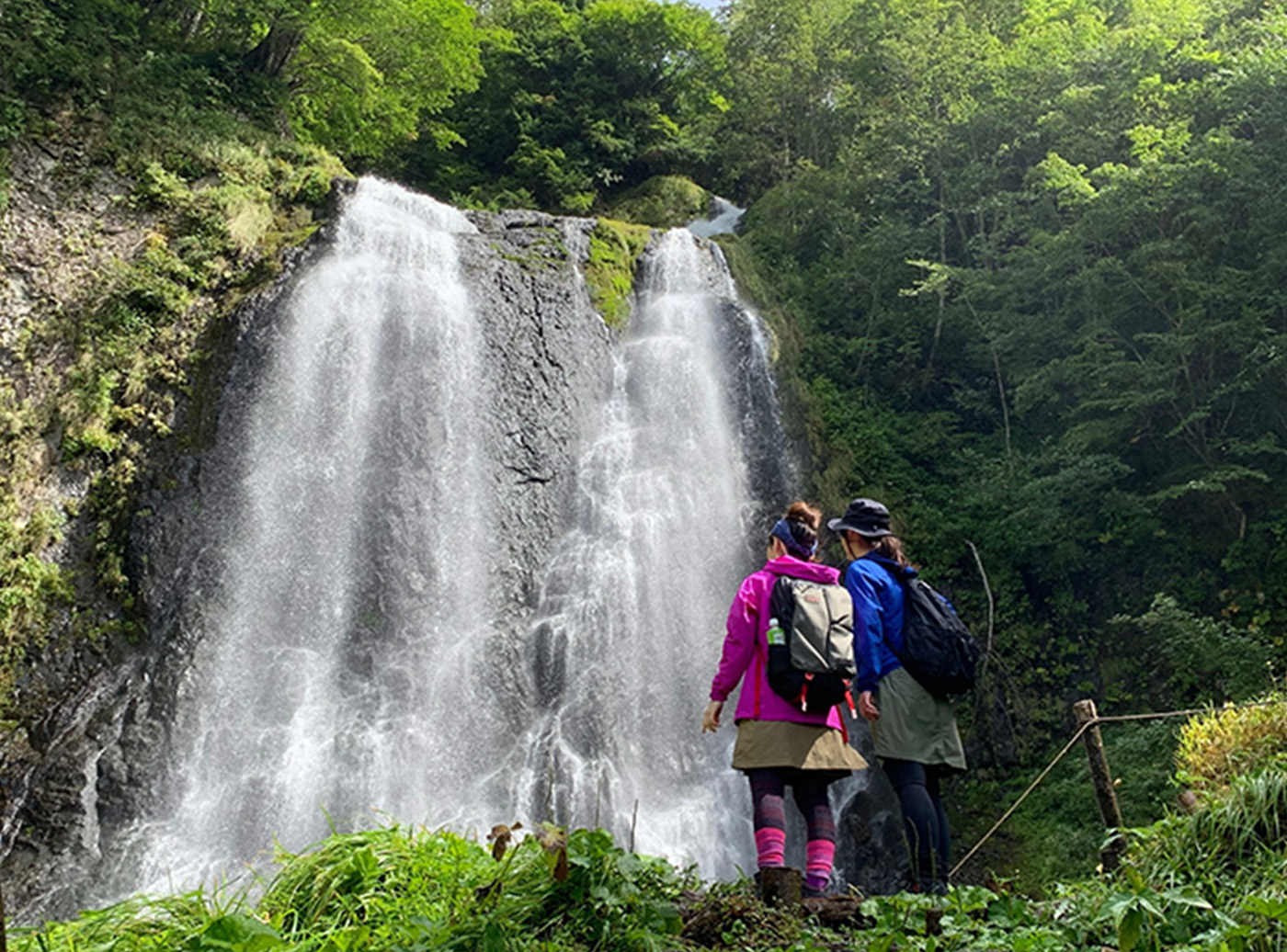 乗鞍山麓 五色ヶ原の森