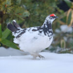 ブログ始めます。