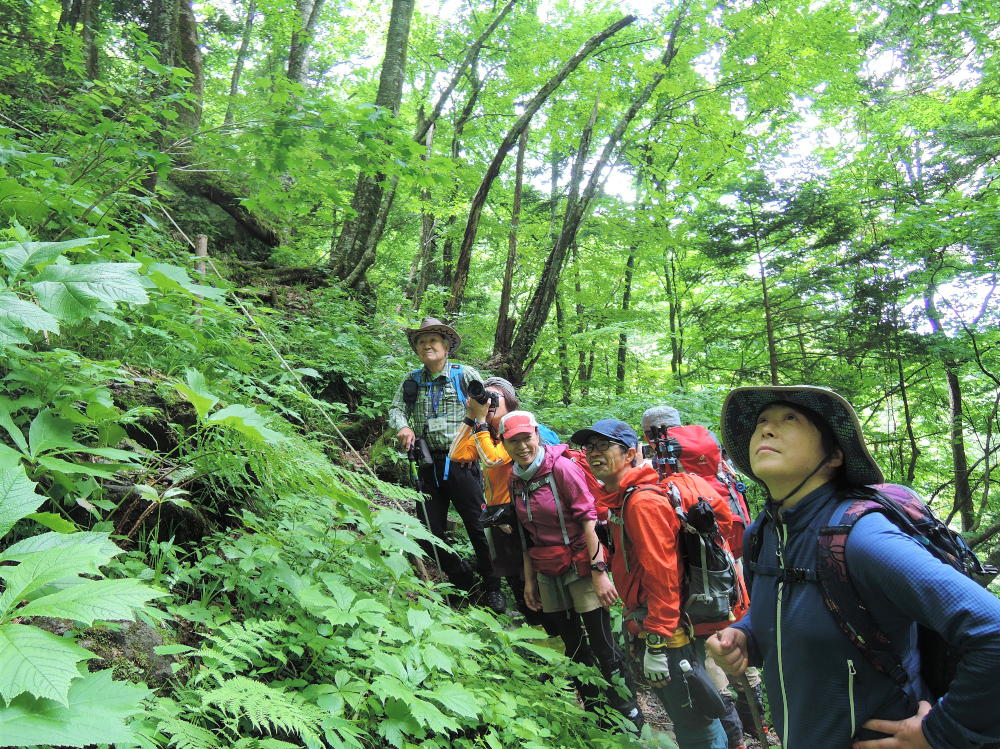 五色ヶ原の森ガイドツアー