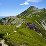 《やまあかり》エコツアーを3件追加しました。