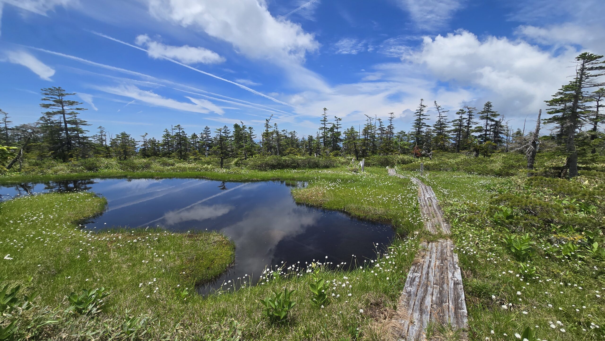 千町ヶ原を通る青屋道
