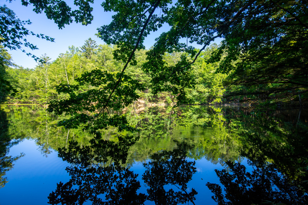 日和田高原　杣ケ池