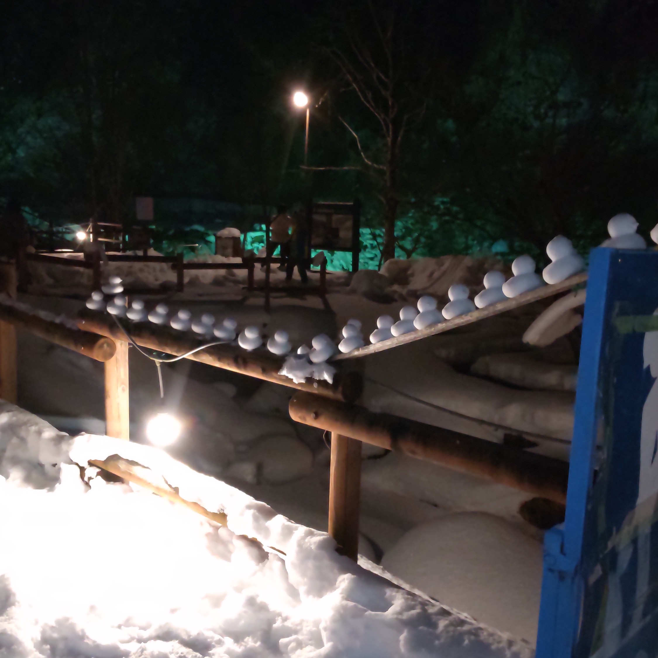 あなたが現在見ているのは タルマかねこおりライトアップ