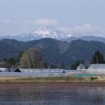 山が描く、春だけの白馬（笠ヶ岳）