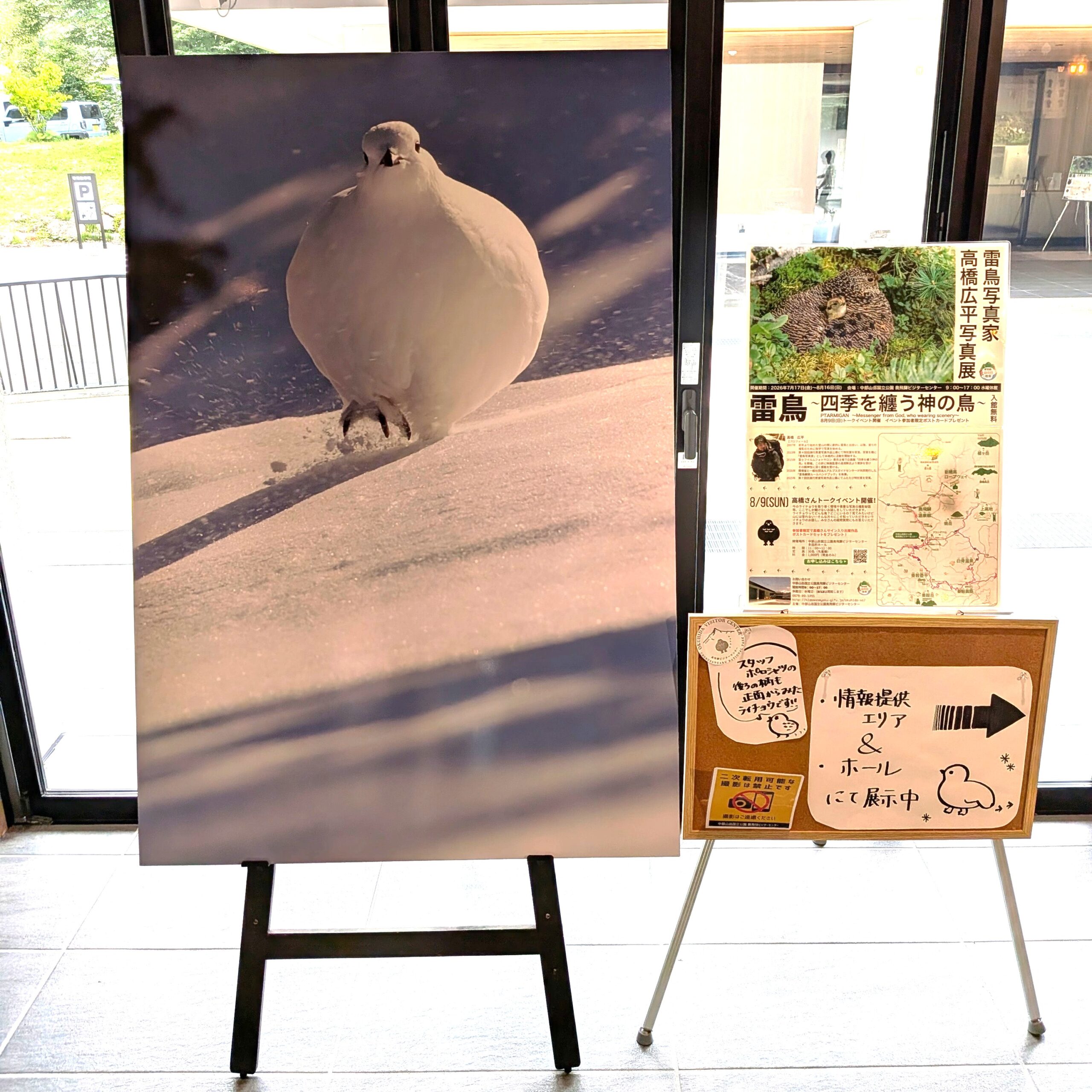 投稿についてもっと詳しく 雷鳥写真家 高橋広平写真展　　　　　　　   　　　  　　　　　　  　　　　　　　　　〜四季を纏う神の鳥〜　開催中