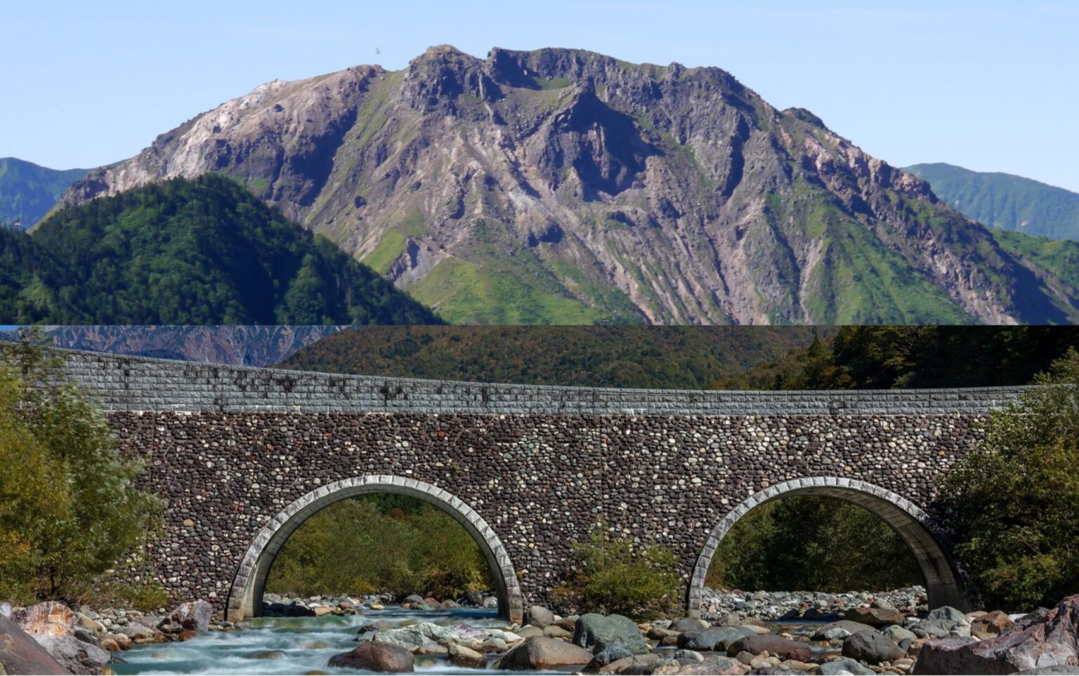 キャッチ