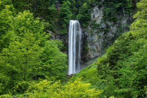 Read more about the article 自然ガイドツアー（平湯大滝）