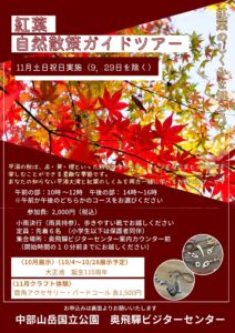 投稿についてもっと詳しく 紅葉自然散策ガイドツアー