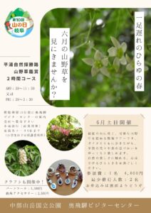 投稿についてもっと詳しく 平湯自然探勝路山野草鑑賞２時間コース