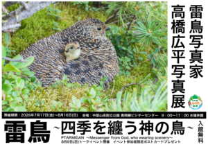 投稿についてもっと詳しく 雷鳥写真家  高橋広平写真展　雷鳥～四季を纏う神の鳥～