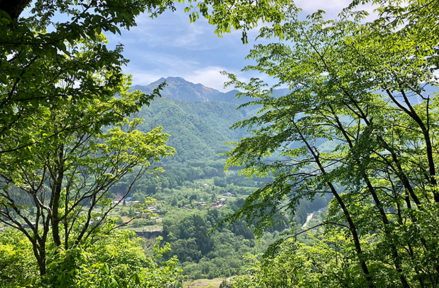 Mt. Fukujiyama