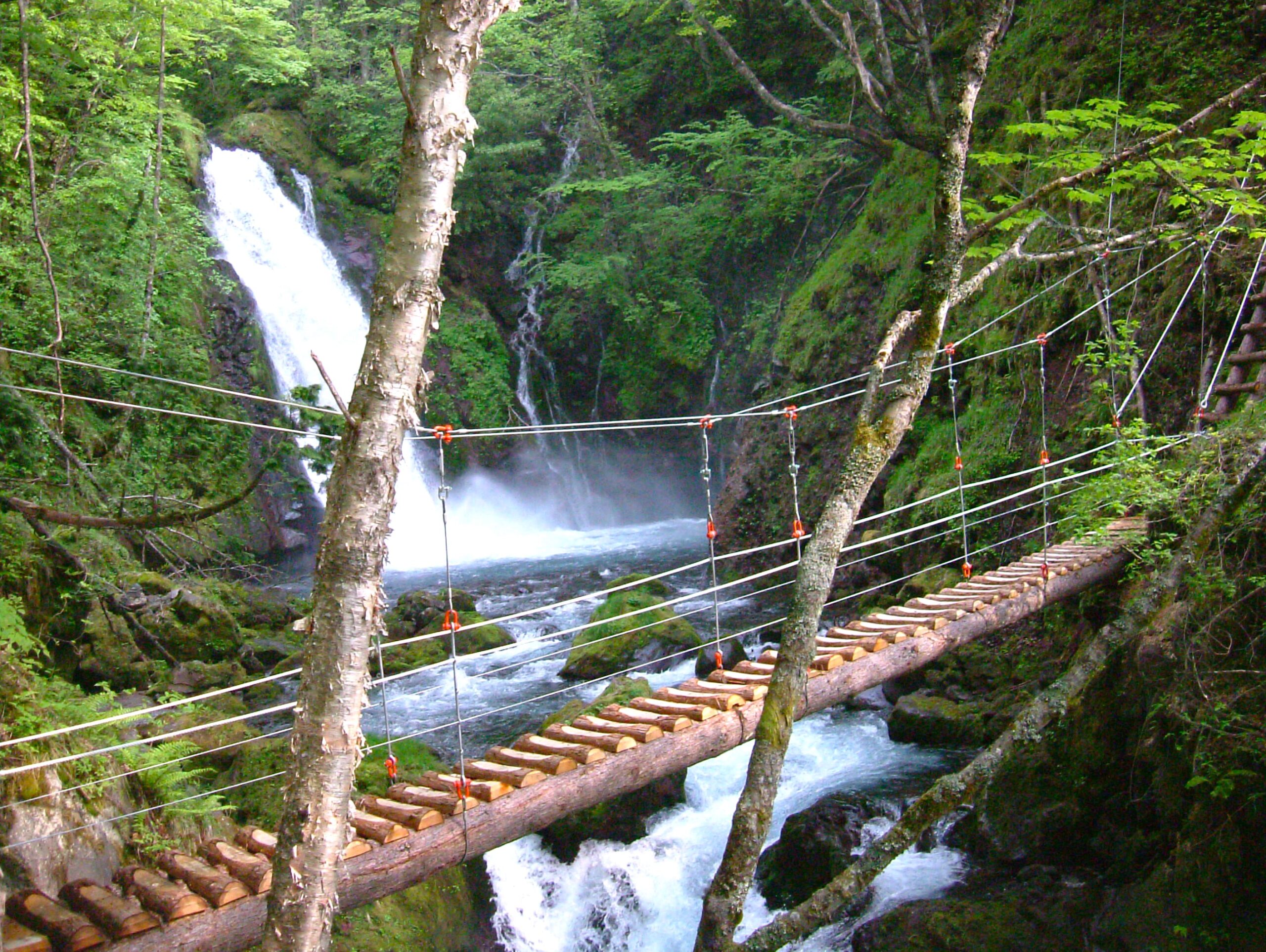 五色ヶ原の森_横手吊橋