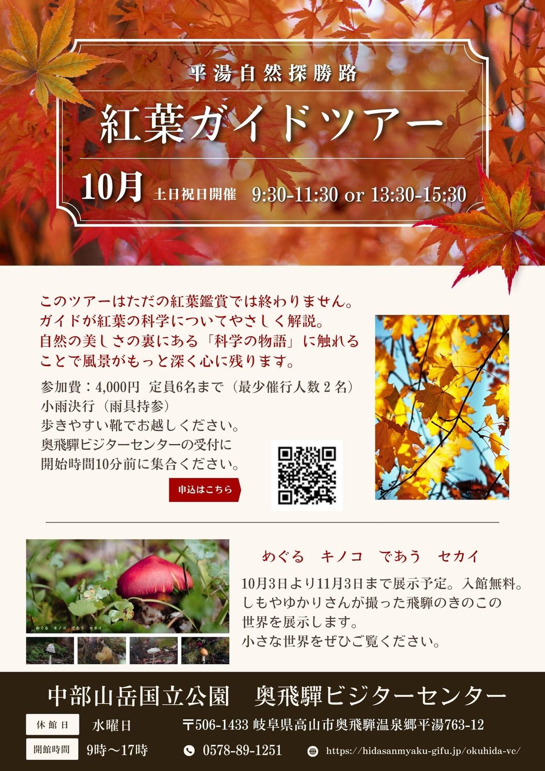 R810月チラシ-1086×1536