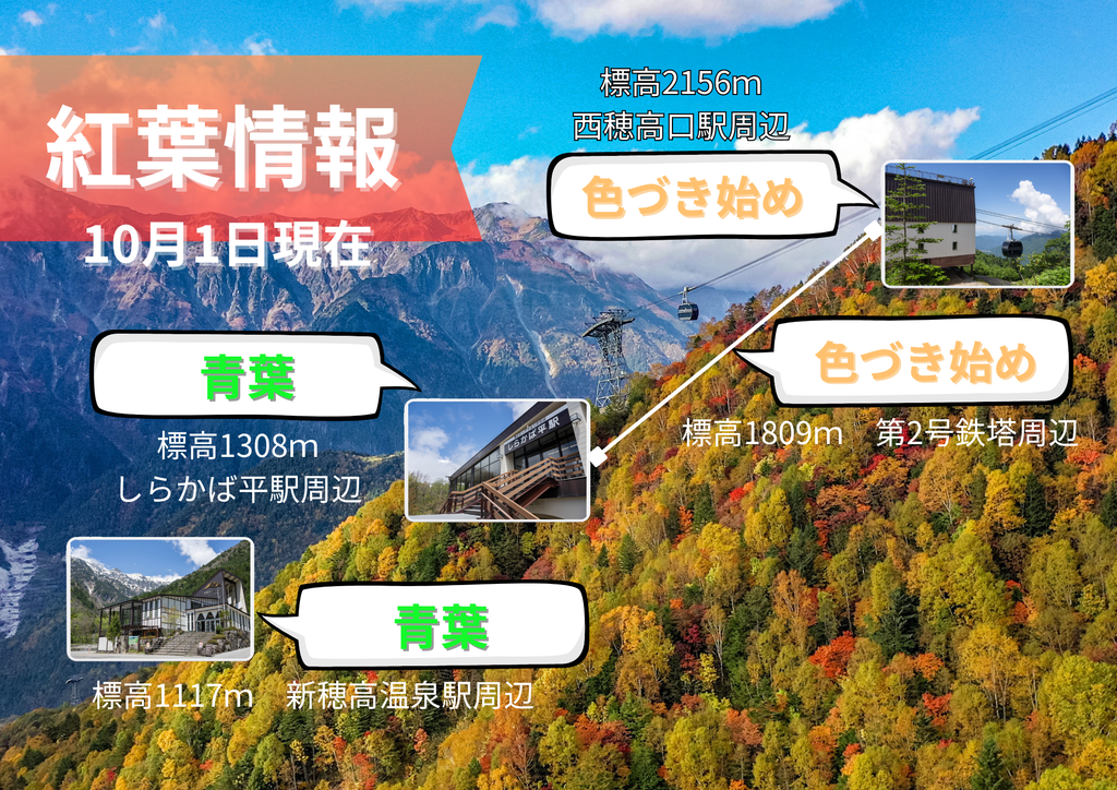 紅葉情報（新穂高ロープウェイ）20261001